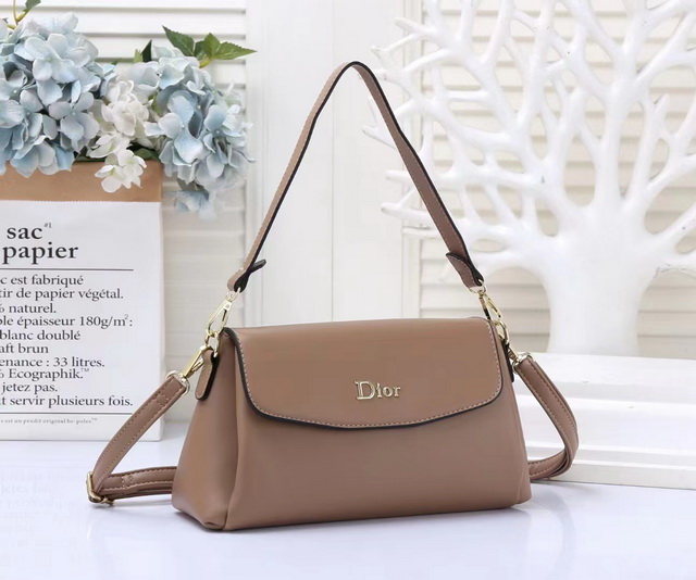 DlOR Handbags 052